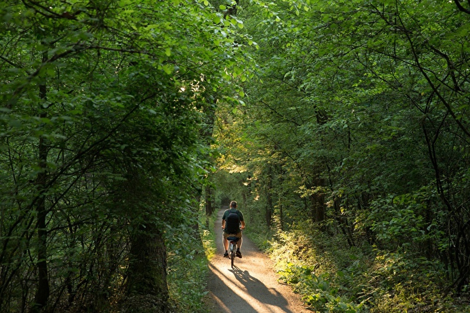 De omgeving van Dwingeloo ontdekken