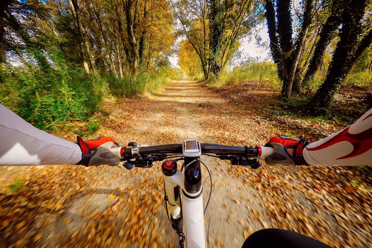 Fietsen en wandelen in Dwingeloo