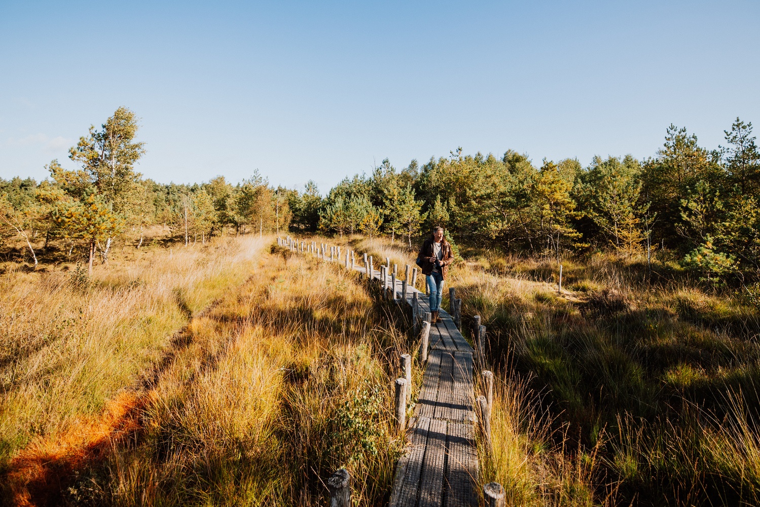 Wandelroutes van Dwingeloo